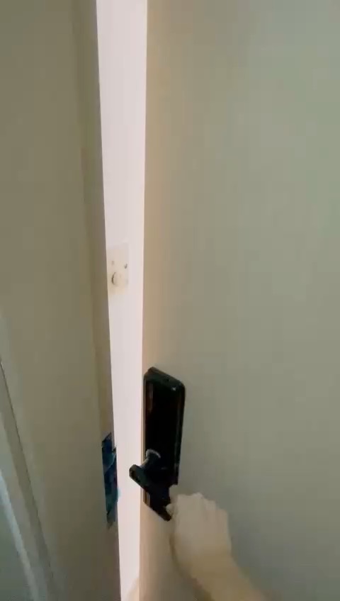 租一房 只限女生 已有一人入住