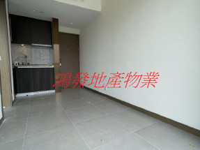 筍盤,高回報率,近港鐵,雪櫃,洗衣機,抽油煙機,微波爐,焗爐,有露台,