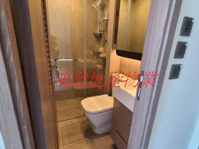 筍盤,上車盤,光猛開揚,近港鐵,有露台,洋樓,