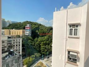 有匙即睇,近港鐵,可養貓狗,