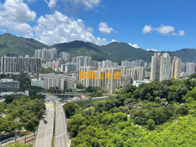 *火炭專租* 最方做既火車站盤~!