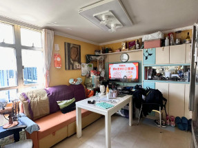 大量筍盤 TEL 51453589