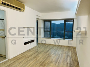 西南兩房特色天台 璀璨城市山景