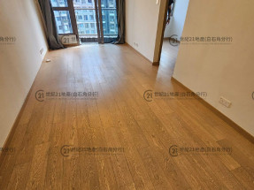 罕有兩房梗廚｜內園泳池景