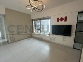 西南山景 靚裝三房套