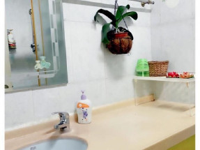 ^^主區占占,可合作