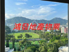 有匙即睇,筍盤,光猛開揚,