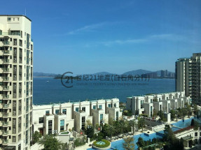 真正的豪宅精選│市場罕有