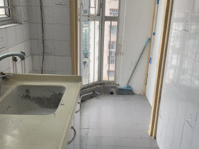 主區齊盤,一次睇晒 51453589