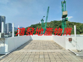 環境清靜 簡格四正 光猛開揚t