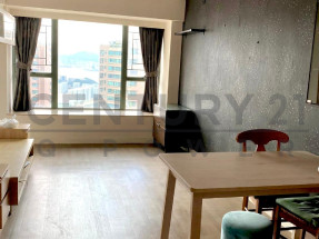 極高層靚裝兩房 繁華城市景