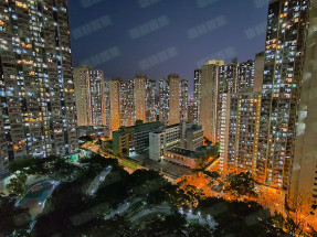 獨家代理 兩房已補地價 中層開揚 可短租給街坊裝修短住用