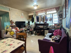 大量筍盤 TEL 51453589