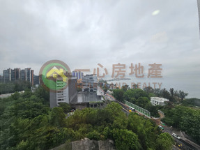 連車位 3房1套 加士多房