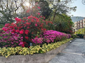 [翡翠花園][智能家居][用家裝修]