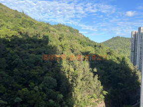 罕有放盤 投資/自用佳選