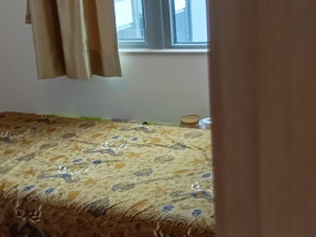 獨立主人房 $10800 | 客房 $8800 分租全包