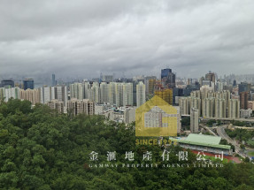 主區齊盤,一次睇晒 51453589