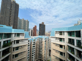 罕有內園又開揚高層, 優點多市場放盤量少