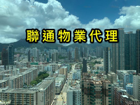 新鴻基樓樓, 有質素保證, 高層開揚獅山景