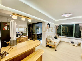 罕有正南兩房 寬敞大廳靚裝齊傢電