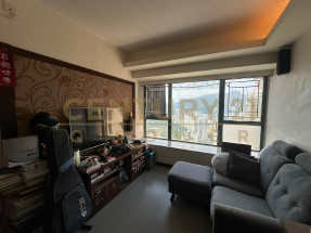 **獨家委託** 極高層兩房半  繁華城市景