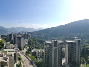 **九肚山豪宅, 毗鄰億萬富豪, 罕有一房, 開揚山景及市景**