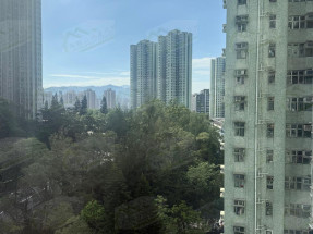 歡迎查詢 蕭生91386096