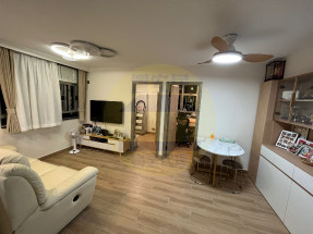 雅緻裝修,即買即住