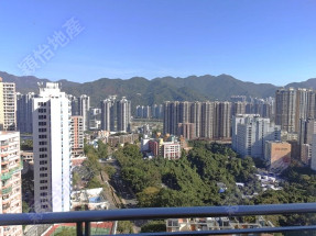 低密度豪宅 私隱度高 環境清幽 俯瞰極美景致 完善管理 連3個相連車位