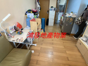 光猛開揚,環境清靜 投資精選,高回報率,九成按揭