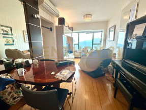 高層東南三房套則皇   山海環抱