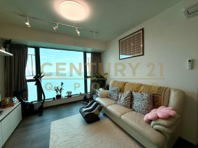 雅裝正東全海景 特色落地玻璃戶