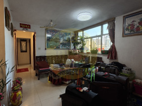 綠表推介，即約即睇