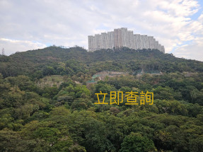 有房獨廁，實用倉寫