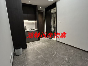 光猛開揚,近港鐵,有會所,有露台,洋樓,