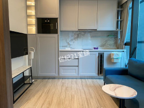 全屋傢電 雅緻裝潢