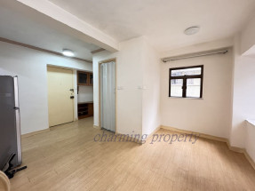 中環極價地段，收租自住均佳