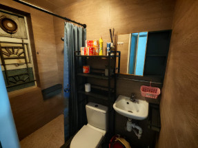 3分鐘中文大學,新裝修,連花園,可養寵物