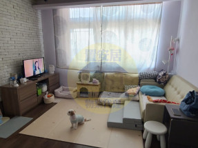 獨家委託,光猛開揚,可養貓狗,