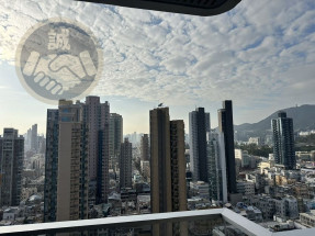 真盤41校網全新剛收樓 