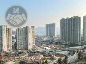 真盤 41校網全新剛收樓