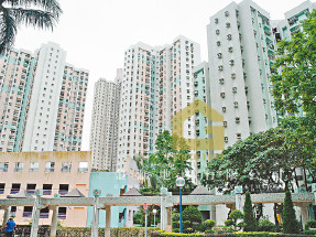 罕有大三放賣盤,近MTR,街市