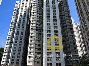 主區齊盤,一次睇晒 51453589