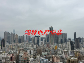 全新樓 有會所 超靜