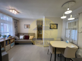 上車盤,近大型商場,可養貓狗,九成按揭,