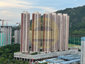 獨家委託,換樓精選,連租約售,