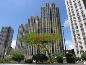 上車推介，間隔實用