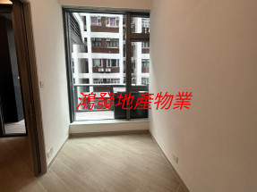 全新樓 高樓底特色平臺單位 有會所