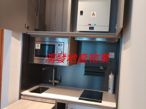 雙鐵交匯 旺角市中心 新樓